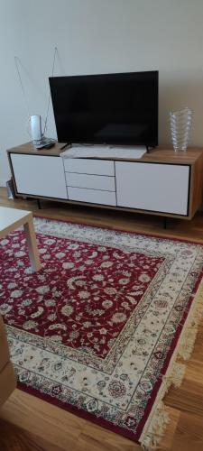 One-Bedroom Apartment image 10
