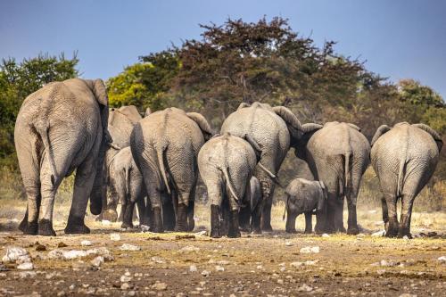 The Mushara Outpost The Mushara Outpost