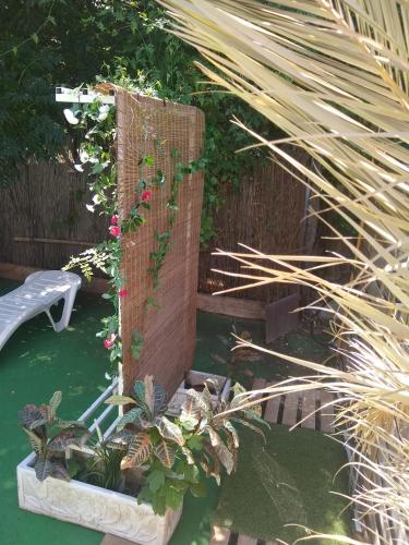 Finca El Naranjo, Sevilla (Foto 9)
