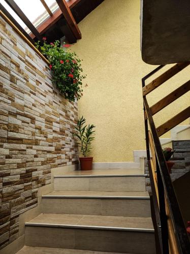  Apartman Majetić in Selište Drežničko