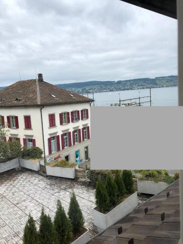  Wädenswil 3 Zimmer Wohnung genau beim Zürichsee in Wädenswil