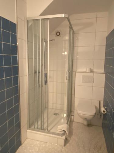 Brunnen Hotel - image 11