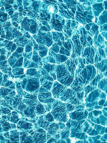 Côté vignes cassis Côté vignes cassis