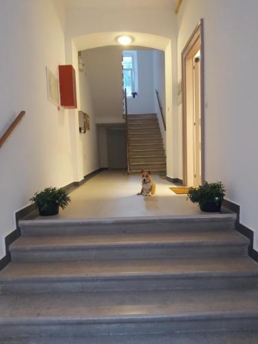  Apartman Draguć in Pula