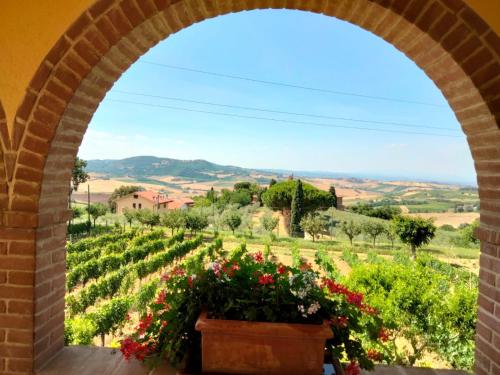  La Casa Dei Nonni in Montepulciano