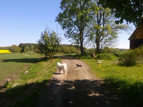 Stora Topphem - image 7