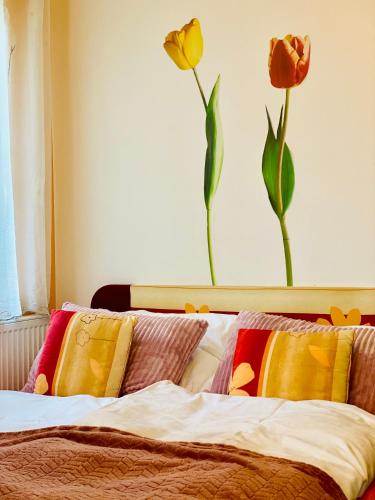 Alba Apartmany Zelezna Ruda near iNet Zelezna Ruda