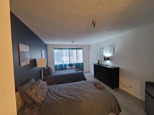 (A12) Lovely Spacious Double Bed Studio, Los Angeles (fotografie 6)