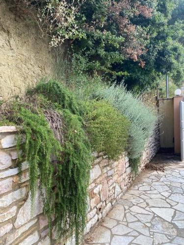  Villa Lagada in Koroni