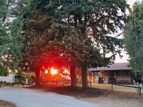 卡萨利生态农家乐