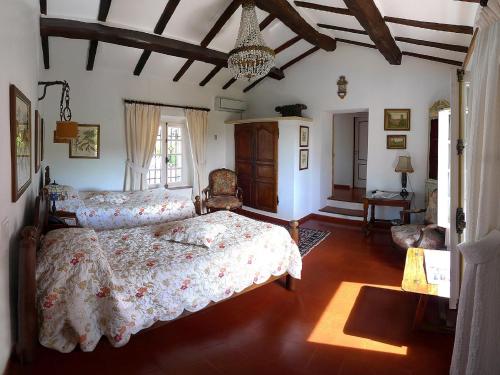 3 twin beds