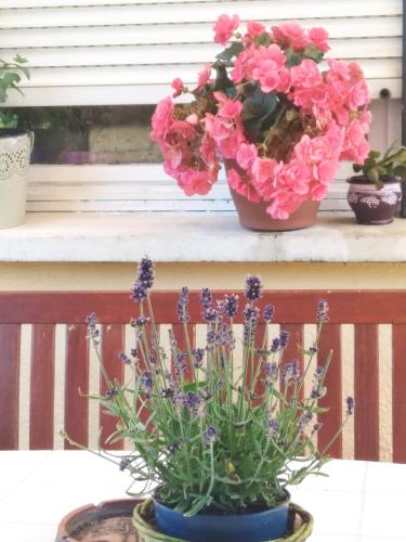 Létesítmények, Szemi ház (Szemi haz) in Petőfi Sándor Lakótelep