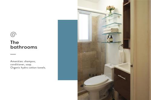 One-Bedroom Apartment image 7