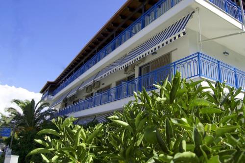 Hotel Dellis - image 6