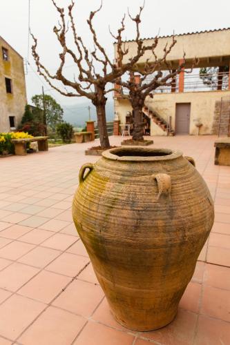 Masia Can Castanyola Masia Can Castanyola