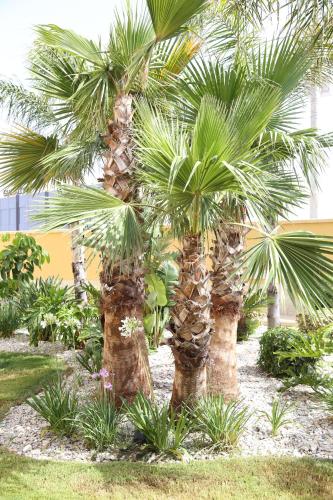  L´OASI DI CICCIO in Mazara del Vallo