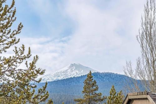 White Elm 28 - image 12