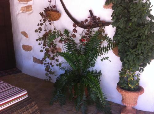 Casa Abuelo Rafael - image 2