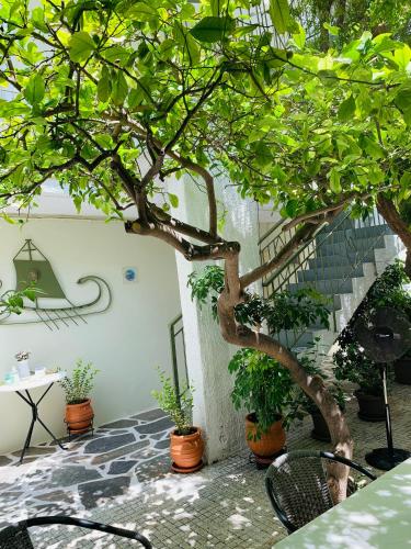 Costas Rooms in Aegina