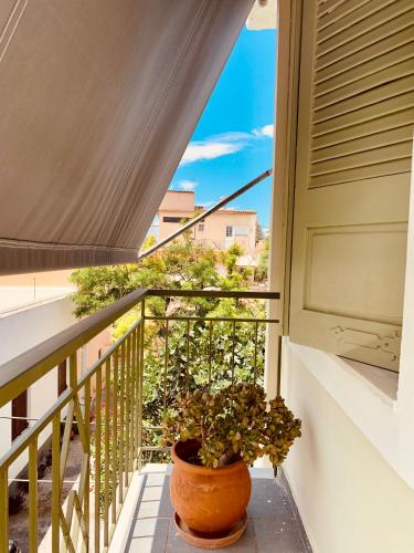 Costas Rooms in Aegina