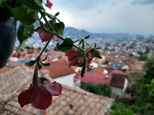 Best terrace view in the heart of Sarajevo - image 12