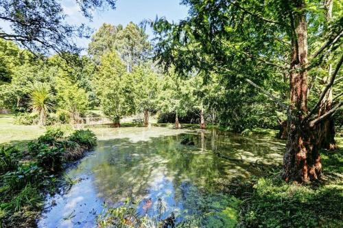 Peaceful cottage in beautiful landscaped native bush gully - Chalet - Tamahere