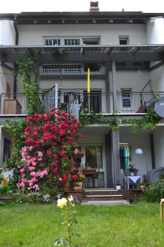 花園, Haus WoogArt in 達恩