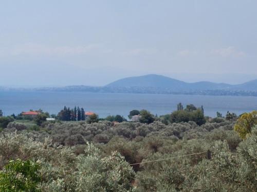 Stone house 2 gîte à louer Palence