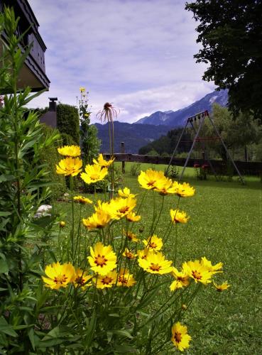 Ferienhaus Hirterhütte