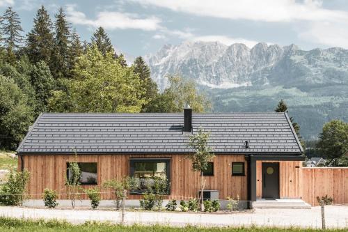  Thörl 149 - skandinavisches Design mit Bergblick in Bad Mitterndorf