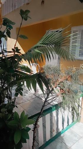 Casa Do Seu Dani in เอวเจนิโอ เฟร์เรย์รา