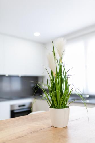 Trendy and Bright Apartment Trendy and Bright Apartment