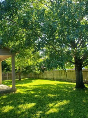 Newly renovated home in Temple Medical District