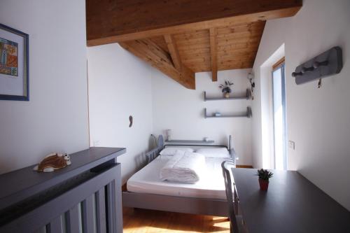 LA PULCE INNEVATA sul Passo Rolle