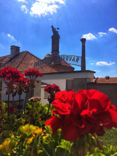 Pivovarský hotel (Pivovarsky hotel) in ฮโรโทวิซ