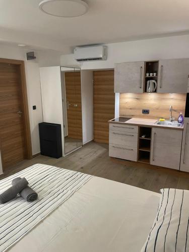 Apartments Anka Pula 4