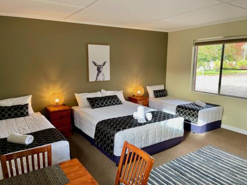 Quirindi Sunflower Motor Inn in Quirindi (NSW)