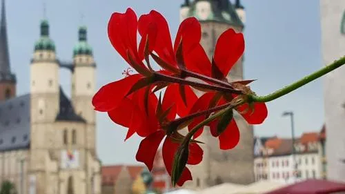 Budget rooms in Halle with shared bathroom & Free WiFi in Halle an der Saale, Deutschland