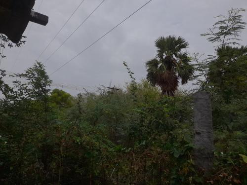 . Prasidh farm house