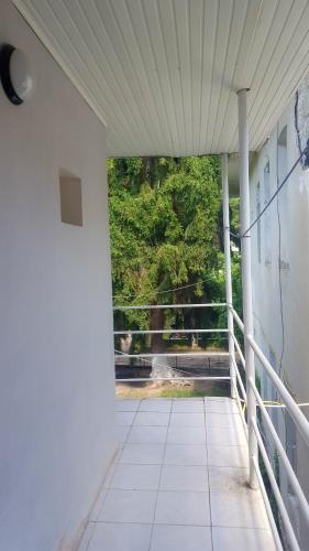 Firuza Hostel in Borjomi