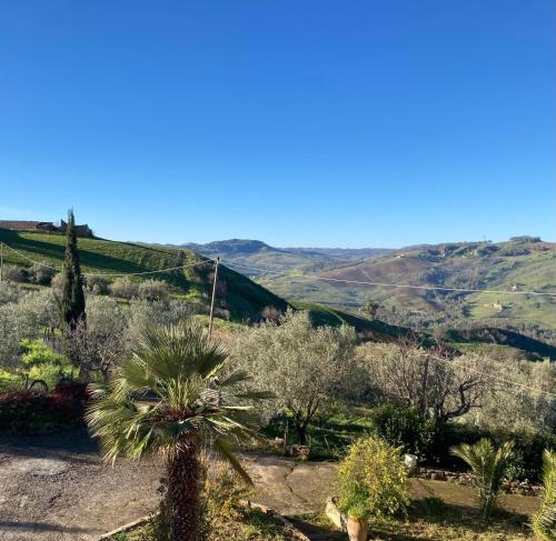 Kert, La Casa Delle Olive in Nissoria