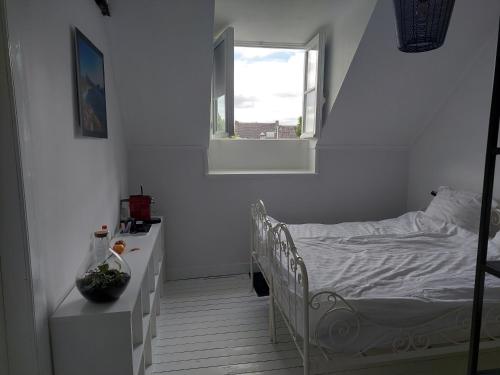 Bed & breakfast in monumental house maastricht centre, Maastricht (foto 3)