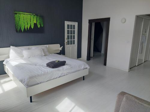 Bed & breakfast in monumental house maastricht centre, Maastricht (foto 8)