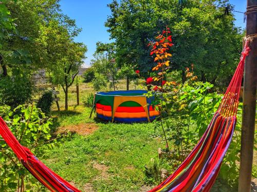 Garden, VELI, Guest House & Brewery in Zemo Alvani