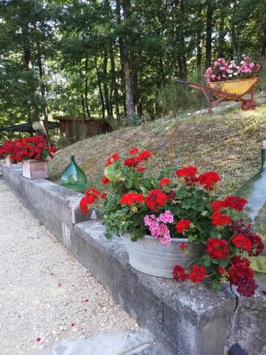  Affittacamere La Casa di Alma in Roncobillaccio