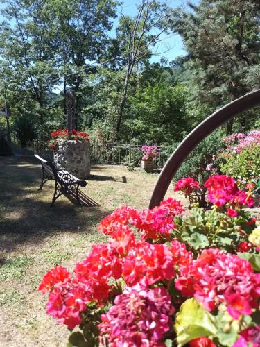  Affittacamere La Casa di Alma, Pension in Roncobillaccio bei Villa Dogana