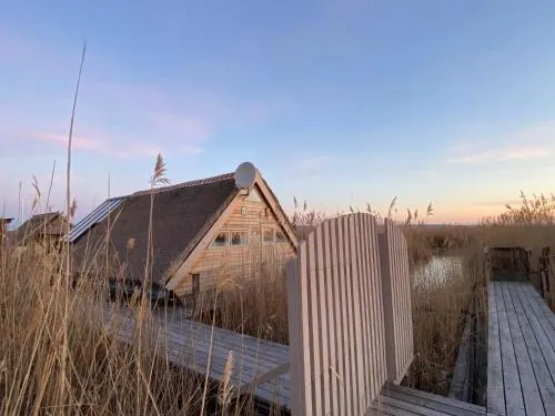 Seehütte Pfahlbau-Neusiedlersee - Waterfront 1 in Rust, Österreich