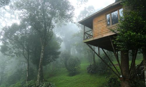 Nature Zone Munnar - A Real Jungle Resort - Authentic Tree House and Premium Tents