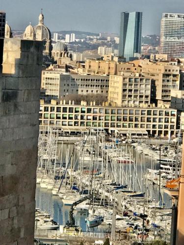 Luxe calme et volupté avec vue panoramique sur le vieux port, Marseille (photo 7)