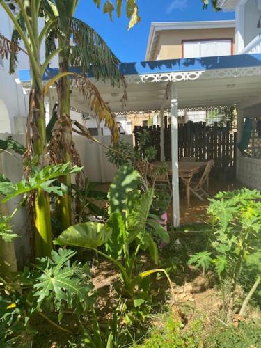 Akunamatata Guest House Grand Case in Saint Martin